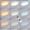 Plafonnier Genthin LED Blanc, 1 lumière, Télécommandes