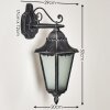 Applique murale d'extérieur Lignac Noir, Argenté, 1 lumière