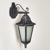 Applique murale d'extérieur Lignac Noir, Argenté, 1 lumière
