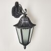 Applique murale d'extérieur Lignac Noir, Argenté, 1 lumière