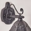 Applique murale d'extérieur Lignac Noir, Argenté, 1 lumière
