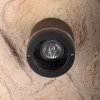 Applique murale d'extérieur LUTEC FOCUS Anthracite, 1 lumière