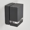 Applique extérieure Haines Anthracite, Noir, 1 lumière