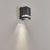 Applique extérieure Haines Anthracite, Noir, 1 lumière