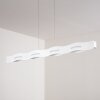 Suspension Nagold LED Blanc, 1 lumière