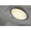 Plafonnier Trio 6265 LED Titane, Blanc, 1 lumière