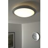 Plafonnier Trio 6265 LED Titane, Blanc, 1 lumière