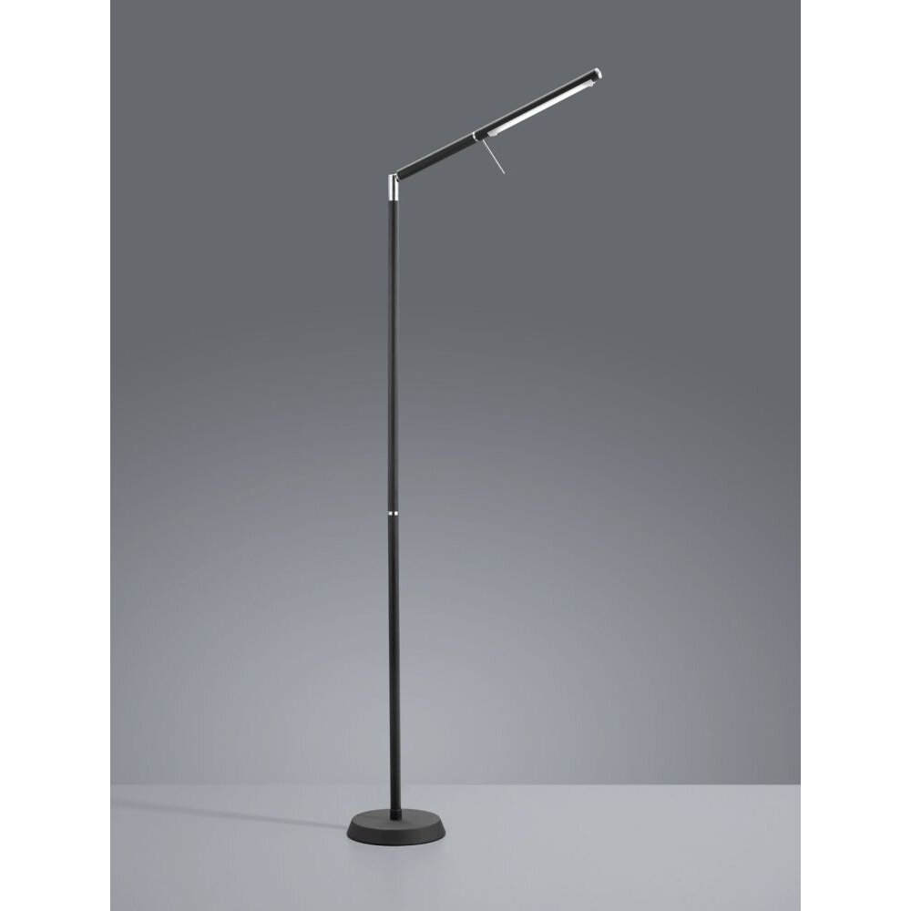 Lampadaire Trio FILIGRAN LED Noir, 1 lumière main product photo