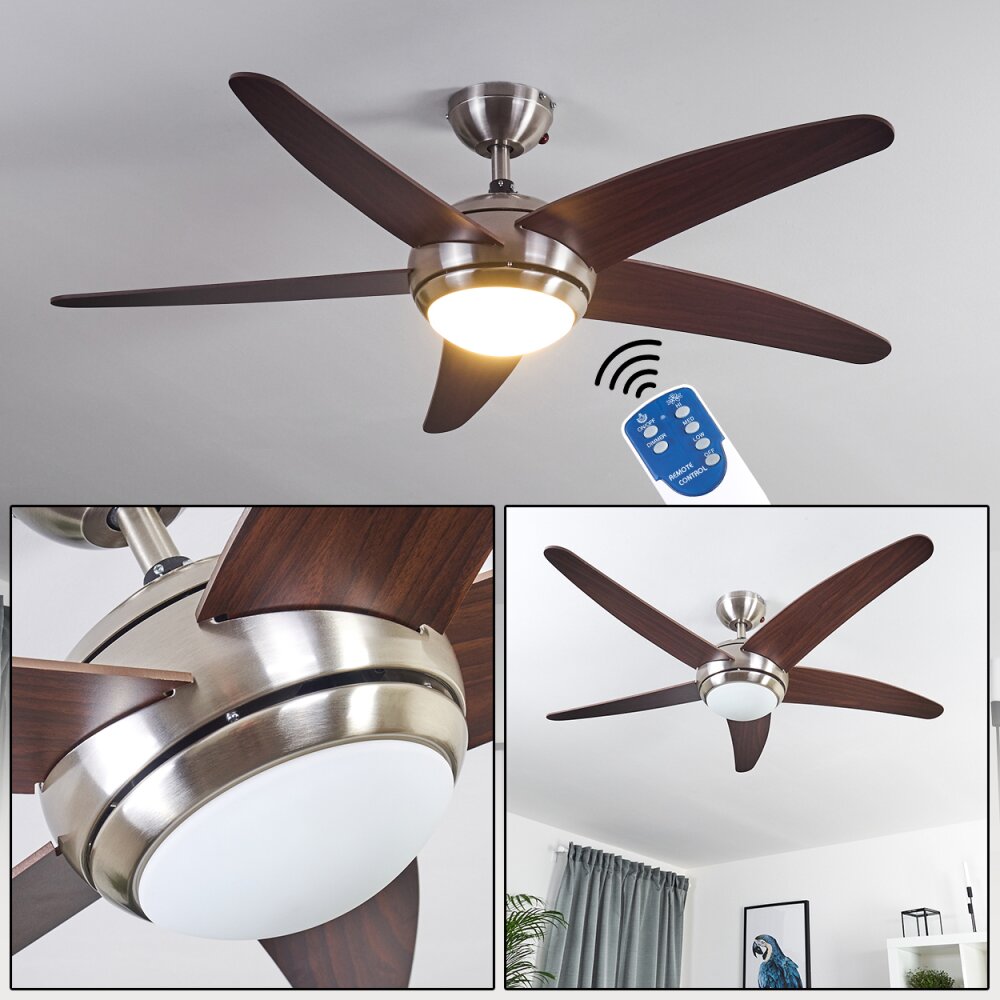 Ventilateur de plafond Imon Bois foncé, Nickel mat, 1 lumière, Télécommandes main product photo