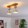 Plafonnier Berkeley Brun foncé, Zingué, 2 lumières