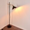 Lampadaire Gudem Noir doré, 1 lumière