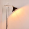 Lampadaire Gudem Noir doré, 1 lumière
