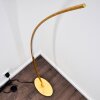 Lampadaire Nagu LED Or, 1 lumière