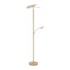 Lampadaire Paul Neuhaus ARTUR LED Laiton, 1 lumière