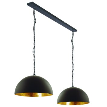 Suspension Steinhauer Semicirkel Noir, 2 lumières Suspension Steinhauer Semicirkel Noir, 2 lumières
