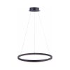 Suspension Paul Neuhaus TITUS LED Anthracite, 1 lumière