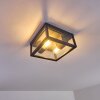plafonnier extérieur Kiwalik Anthracite, 1 lumière