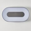 Applique murale d'extérieur Felsted LED Argenté, 1 lumière