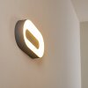Applique murale d'extérieur Felsted LED Argenté, 1 lumière