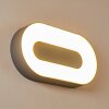 Applique murale d'extérieur Felsted LED Argenté, 1 lumière