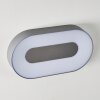 Applique murale d'extérieur Felsted LED Argenté, 1 lumière
