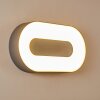 Applique murale d'extérieur Felsted LED Argenté, 1 lumière