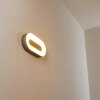 Applique murale d'extérieur Felsted LED Argenté, 1 lumière