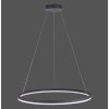Suspension Paul Neuhaus TITUS LED Anthracite, 1 lumière