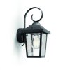 Applique murale d'extérieur Philips Buzzard Noir, 1 lumière