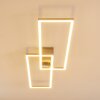 Plafonnier Ceva LED Argenté, 2 lumières, Télécommandes