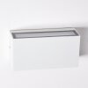 Applique murale d'extérieur Duluth LED Blanc, 1 lumière