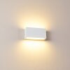 Applique murale d'extérieur Duluth LED Blanc, 1 lumière