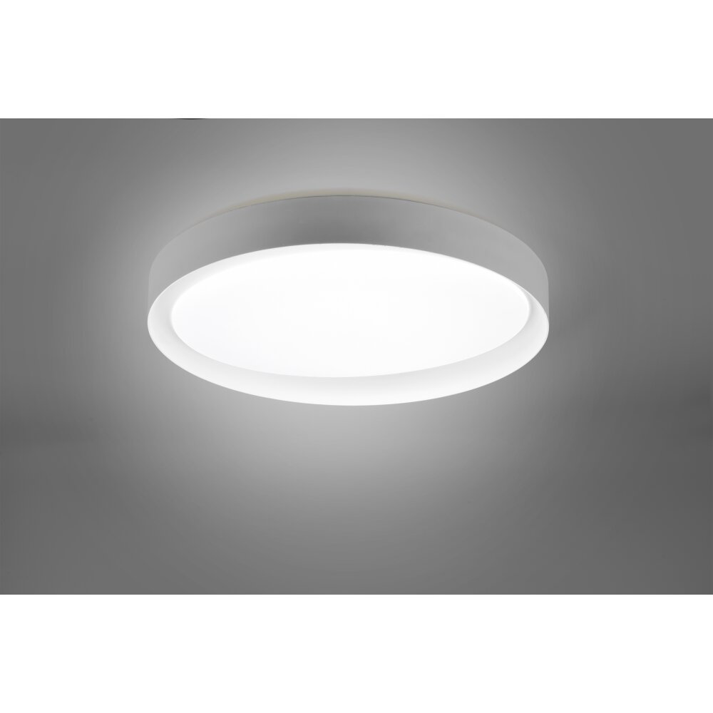 Plafonnier Reality Zeta LED Gris, 1 lumière, Télécommandes main product photo