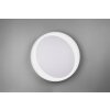 Plafonnier Reality Zeta LED Gris, 1 lumière, Télécommandes