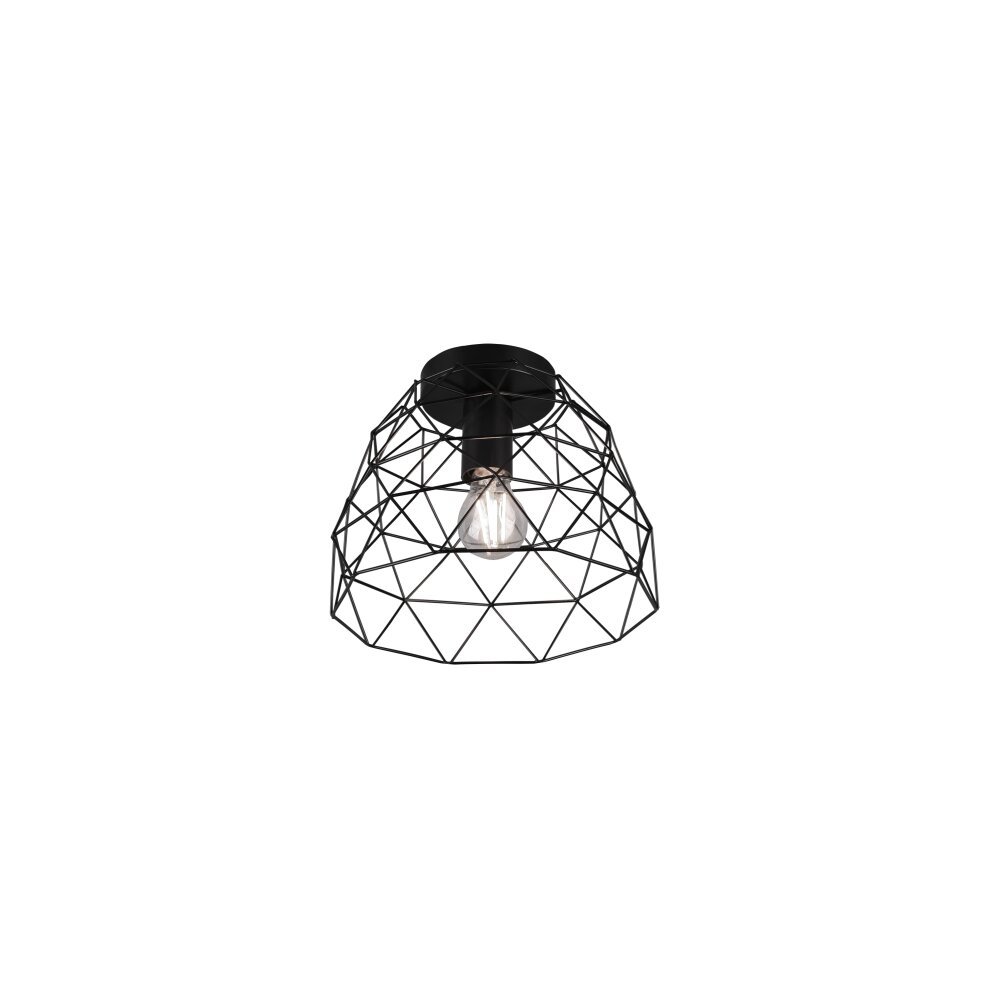 Plafonnier Reality Haval Noir, 1 lumière main product photo