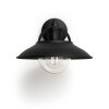 Applique murale d'extérieur Philips Cormorant Noir, 1 lumière