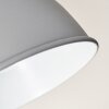 Plafonnier Dompierre Gris, Blanc, 3 lumières
