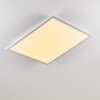 Plafonnier Salmi LED Blanc, 1 lumière, Télécommandes, Changeur de couleurs