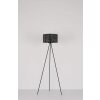 Lampadaire Globo BARZI Noir, 1 lumière