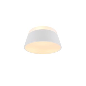 Plafonnier Trio Leuchten BARONESS Blanc, 3 lumières