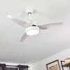 Ventilateur de plafond Doha LED Blanc, 1 lumière, Télécommandes