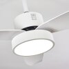 Ventilateur de plafond Doha LED Blanc, 1 lumière, Télécommandes