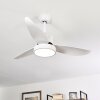 Ventilateur de plafond Doha LED Blanc, 1 lumière, Télécommandes