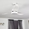 Ventilateur de plafond Doha LED Blanc, 1 lumière, Télécommandes
