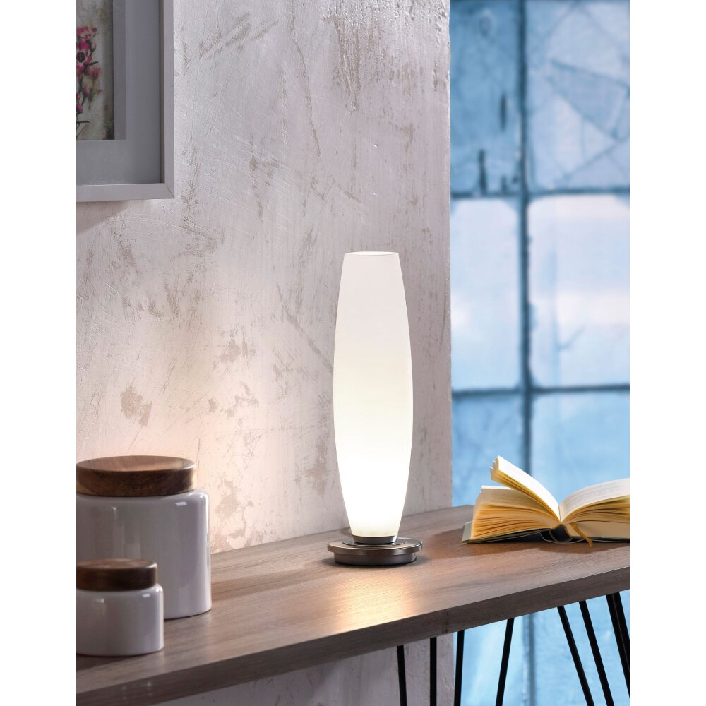Lampe à poser Paul Neuhaus TYRA LED Acier inoxydable, 1 lumière main product photo