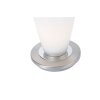 Lampe à poser Paul Neuhaus TYRA LED Acier inoxydable, 1 lumière