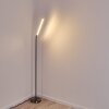 Lampadaire Deje LED Nickel mat, 1 lumière