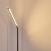 Lampadaire Deje LED Nickel mat, 1 lumière