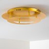 Plafonnier Springdale LED Or, 1 lumière