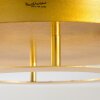 Plafonnier Springdale LED Or, 1 lumière